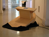 May-Day 2005, included in the Islip Art Museum's 2005 Open-call exhibition, Boats, Boats, Boats. © Scinto 2005